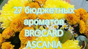 Огромная посылка! 27 бюджетных ароматов! ❤️Брокард и Аскания 🥰Brocard Ascania