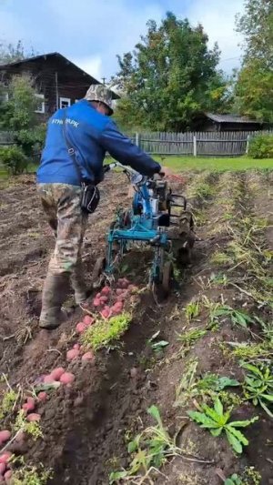 149577858_456240026.mp4