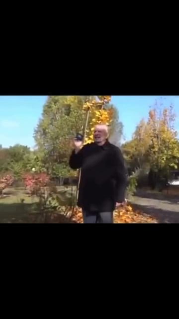 настроение осень #shorts