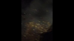 Драка крысы и полуовчарки Fight between a rat and a half-shepherd dog