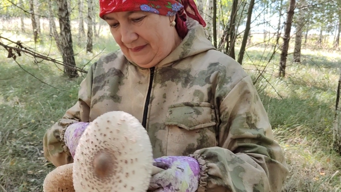 Домик в деревне