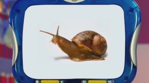 ✨Спокойной ночи, малыши✨134/2025 Насекомое или нет