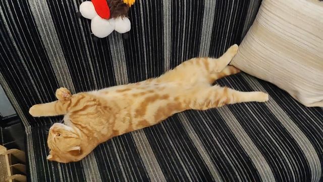 С первым Днём осени и Днём знаний! смотреть онлайн