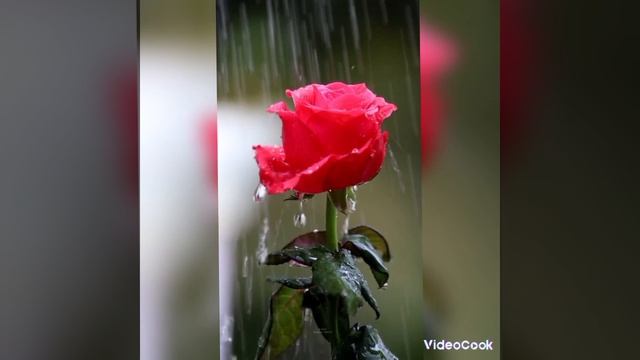 заболела счастьем смотреть онлайн