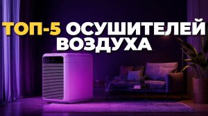 ТОП-5 лучших осушителей воздуха для дома и квартиры — рейтинг 2025! 💨
