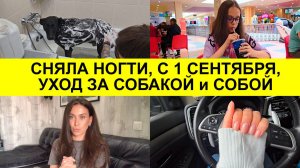 Снова в школу. Покупки. Подстриглась, сняла маникюр. Уход за собакой, уход за собой.