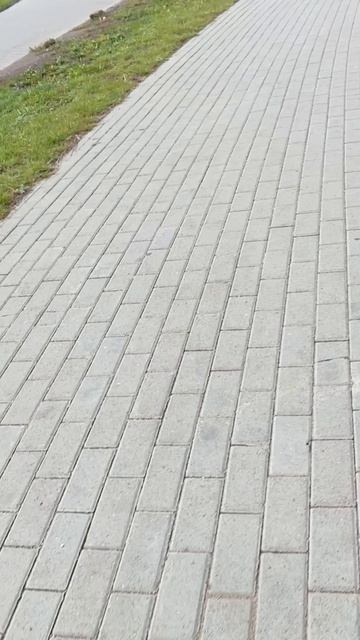 1 сентября шортс смотреть онлайн