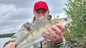 Ловля судака на мандулу