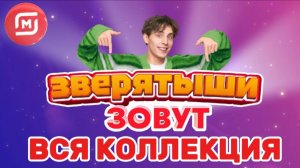 Зверятыши магнит вся коллекция!🌴🐵Обзор на всю коллекцию магнит Зверятыши⛰️😼А4 Влад бумага 🏆