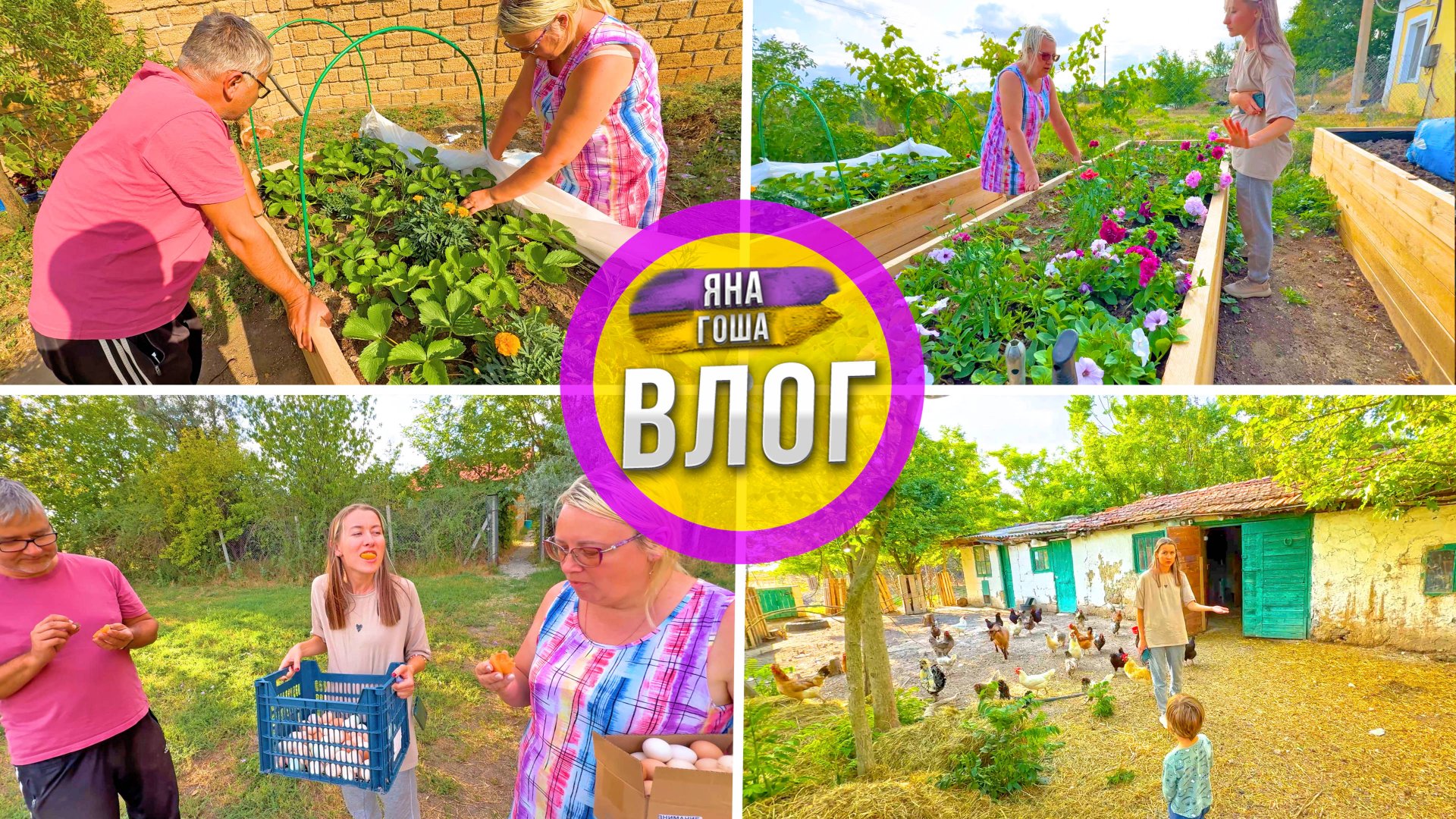 Инспекция клубники в высокой грядке. Что с ней? Сажаем павлонии. Абрикосы. Бассейн. Куриное яйцо смотреть онлайн