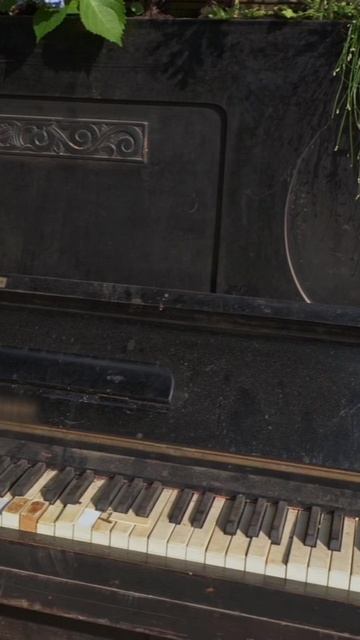 Телеграм: БОБЁР.school смотреть онлайн