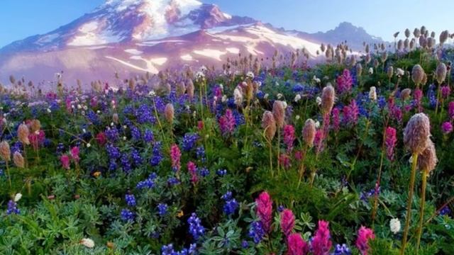 красивое чтение Корана смотреть онлайн