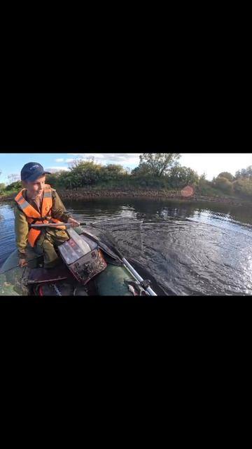 шок рыбалка