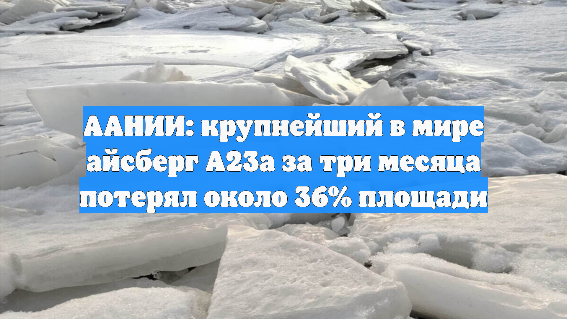 ААНИИ: крупнейший в мире айсберг А23а за три месяца потерял около 36% площади