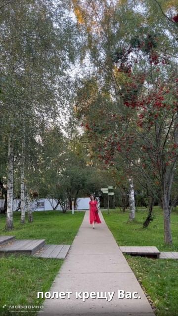 М. Цветаева "Никто ничего не отнял..." (Натали Силаева) смотреть онлайн