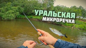 Голавль в притоке Чусовой | Ловлю на Уральской речке c Abu Garcia TMNS-605L