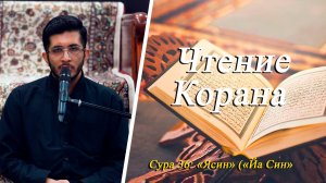 Чтение Корана Сура 36 Ясин (Йа Син) - Саджад Сафдари 29.08.2025
