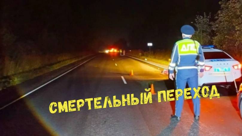 СМЕРТЕЛЬНЫЙ ПЕРЕХОД\\смерть на переходе\дети под колёсами\автобус-беглец\темнота наступает\ смотреть онлайн