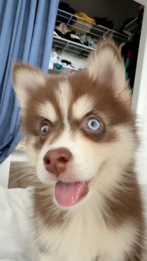 Здорово, классно…