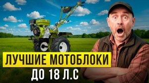 Лучшие тяжелые мотоблоки до 18 л.с. Какой бензиновый мотоблок выбрать в 2025 году?