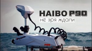 HAIBO АГЕНТ 002