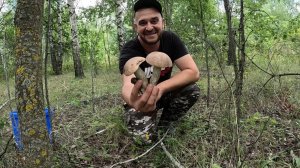 У ГРИБНИКА ПРОПАЛ ДАР РЕЧИ!!! Нашел нетронутый лес. Сбор грибов
