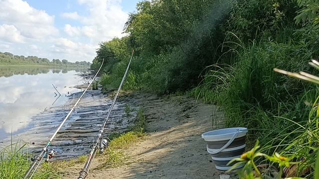Осенняя щука дерёт рыбу на прикормленной точке. смотреть онлайн