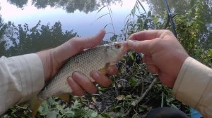 РЫБАЛКА на ПОПЛАВОК в ПОСЛЕДНИЙ ДЕНЬ ЛЕТА 2025!!! МИКРОРЕЧКА!!!