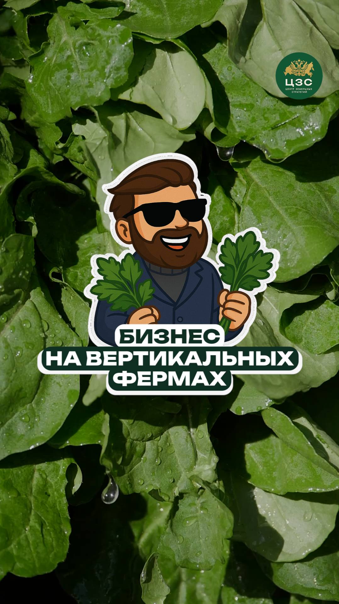 Бизнес на зелени это реально?