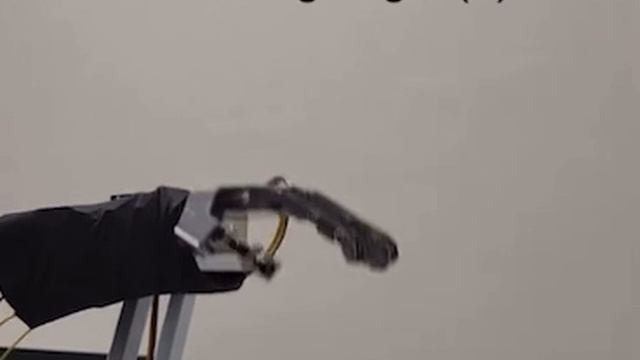 Мечтают ли андроиды об электровцах? Боль и грубость они уже чувствуют смотреть онлайн