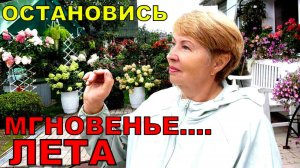 Плакать не буду, а вздохну. Цветочное царство и урожай не подкачали. Что помогло в этом сезоне_