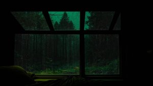 Ночной Дождь за Окном в Лесу Для Сна и Снятия Напряжения