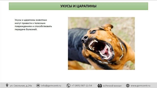 Опасности, связанные с работой с животными смотреть онлайн