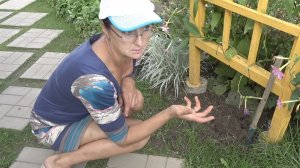 6 соток 28 августа 2025 года. 2 часть