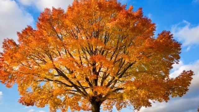 Клëн смотреть онлайн