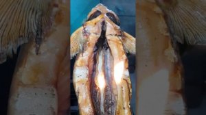 Астраханский осетр. Рецепт горячего копчения.