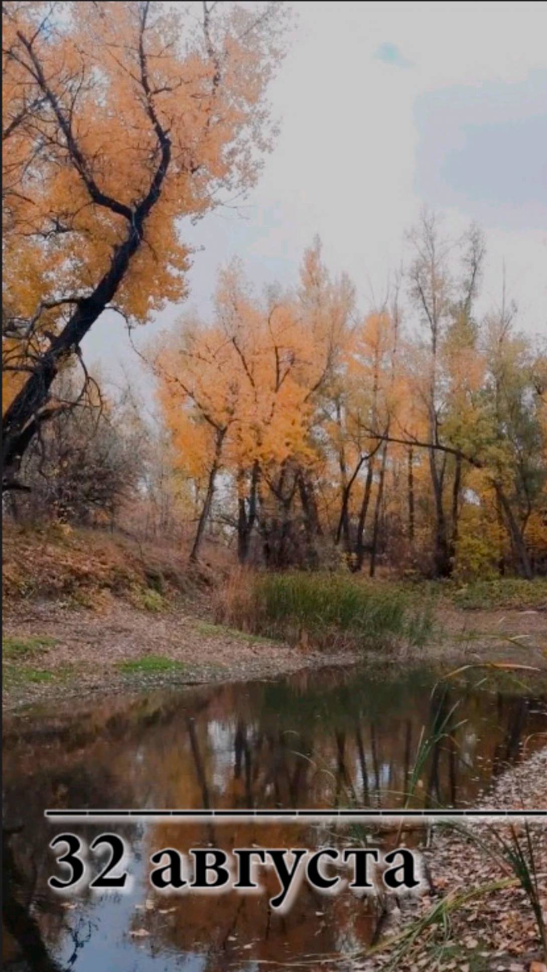 32 августа
