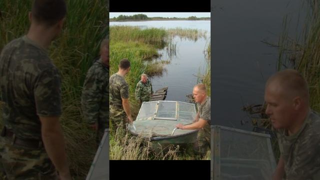 Охота на уток