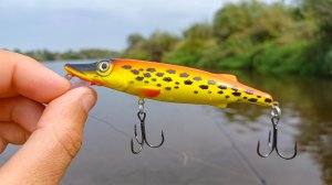 НЕ ЛЕНИСЬ МЕНЯТЬ ПРИМАНКУ и РЫБА ВОЗНАГРАДИТ ТЕБЯ! Рыбалка на спиннинг в 2025