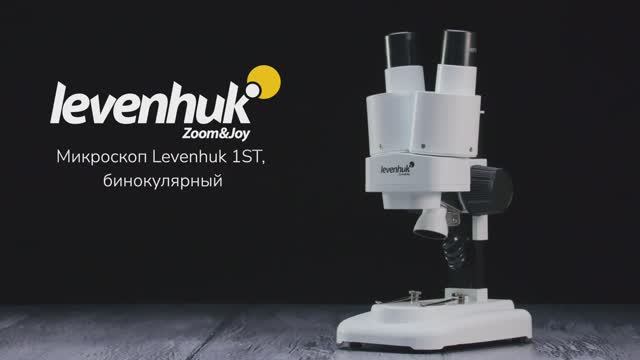 Микроскоп Levenhuk 1ST, бинокулярный | Четыре глаза – имиджевое видео смотреть онлайн