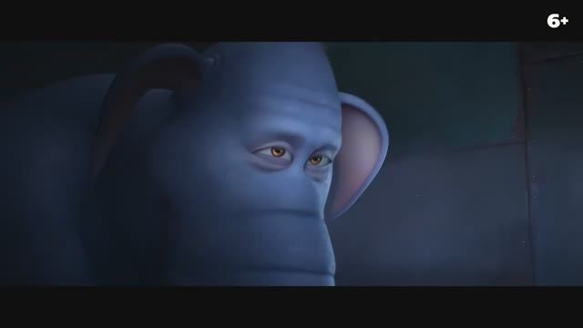 зверо поиск