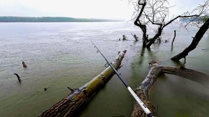 ПОСЛЕДНЯЯ РЫБАЛКА УШЕДШЕГО ЛЕТА погода козел НО РЫБКА ЛОВИТСЯ поиск хищника в корягах на джиг