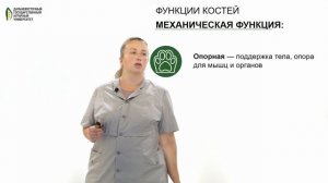 Фрагмент лекции о костях с преподавателем ДальГАУ