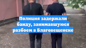 Полиция задержали банду, занимавшуюся разбоем в Благовещенске