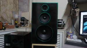 Тест как звучит акустика вега 25 АС-109, Переделка по расчётам.