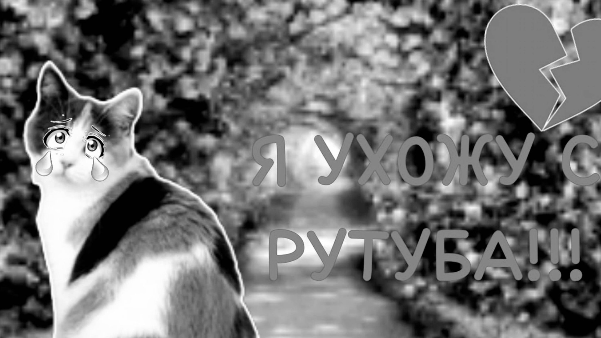 ВСЁ!! ТЕПЕРЬ Я ТОЧНО УХОЖУ С РУТУБА!!!