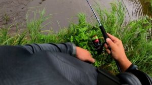 Рыбалка2025. Этот бурый ручей переполнен рыбы. Сахалин