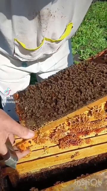🐝🐝🐝🐝🐝♥️♥️♥️♥️♥️ смотреть онлайн