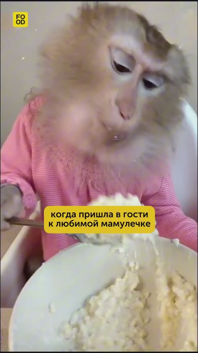 Food.ru — про жизнь со вкусом и смыслом