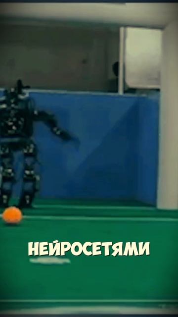 Переводы в Китай 2025 - Что Выбрать